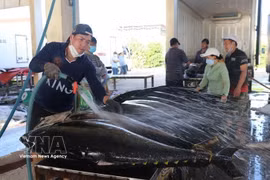 Vietnam : le secteur des produits de la mer mise sur l'innovation technologique et la durabilité