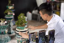 La transformation numérique au service du développement économique local au Vietnam 