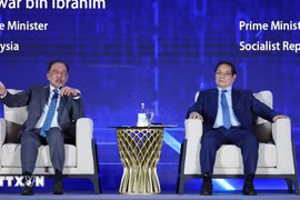Les Premiers ministres vietnamien et malaisien discutent de l'intelligence artificielle. Photo: VNA