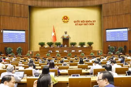 L'Assemblée nationale examine le projet de loi sur l'état d'urgence. Photo: VNA