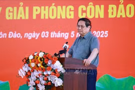 Le Premier ministre Pham Minh Chinh s'exprime lors de la rencontre. Photo: VNA