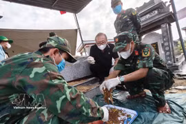 Les forces du Commandement militaire de la ville de Da Nang (Centre) procèdent à l’exhumation des restes de 17 soldats morts pour la Patrie, inhumés dans une fosse commune au village de Go Cao, commune de Thu Bon. Photo: VNA