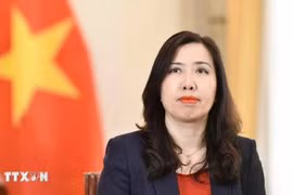 La vice-ministre des Affaires étrangères (AE) Lê Thi Thu Hang. Photo: VNA