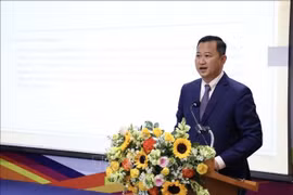 Trân Phu Lu, directeur du Centre de promotion des investissements et du commerce de Hô Chi Minh-Ville (ITPC). Photo: VNA