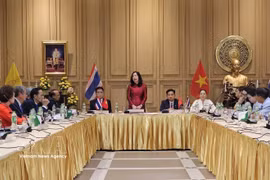 La vice-ministre des Affaires étrangères Le Thi Thu Hang s'exprime. Photo: VNA