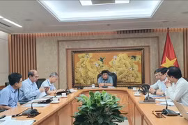 Le vice-Premier ministre Nguyên Chi Dung s'exprime lors de la réunion. Photo: VNA
