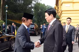 Le président Luong Cuong accueille le sultan de Brunei, Haji Hassanal Bolkiah. Photo: VNA