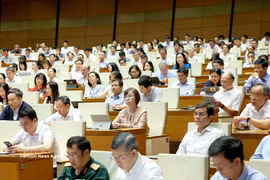 Délégués lors de la conférence. Photo: VNA