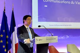 Le vice-ministre de l’Information et des Communications, Bui Hoang Phuong. Photo: VNA