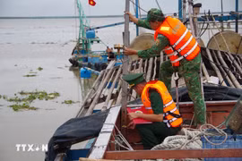 Les gardes-frontières de la province de Dông Thap inspectent le fonctionnement du système de surveillance des navires de pêche par satellite. Photo: VNA