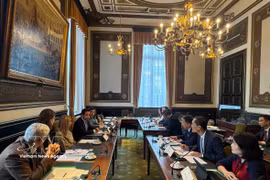 La délégation de la Commission de la Culture et des Affaires sociales de l’Assemblée nationale rencontre la Commission de la Justice de la Chambre des représentants de Belgique. Photo: VNA