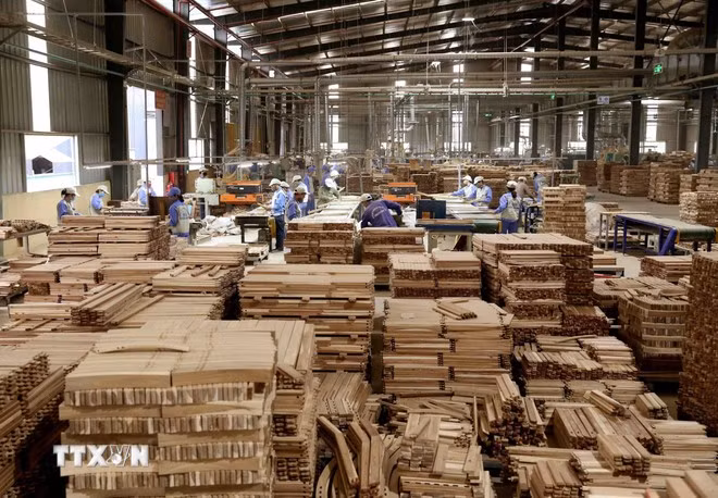 woodsland-tuyen-quang.jpg