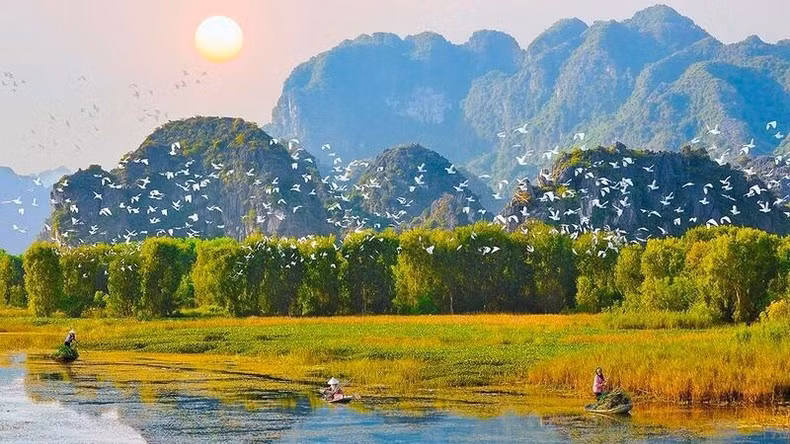 reserve-naturelle-humide-de-van-long.jpg