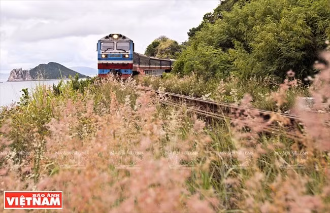 train-phu-yen.jpg