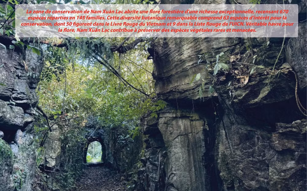 zone-de-conservation-nam-xuan-lac.jpg