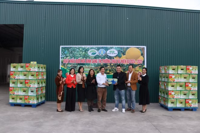 pomelos.jpg