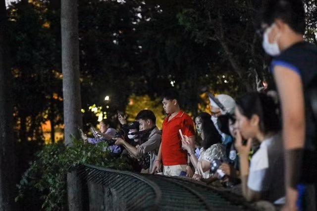 jardin-botanique-et-zoologique-de-saigon.jpg