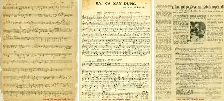 collection-de-hoang-van.jpg