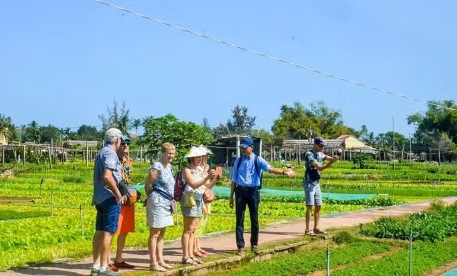 village-de-legumes-de-tra-que.jpg