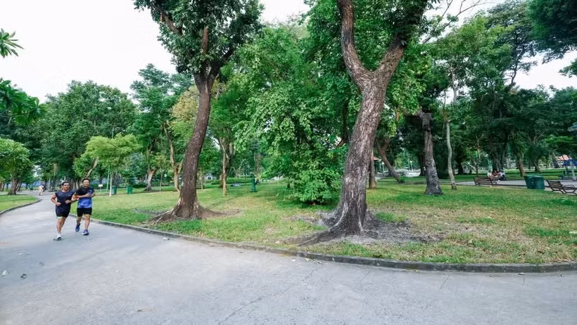 Le parc Le Van Tam est un espace où des investissements dans le développement d'un parking souterrain pourraient être réalisés afin de compléter l'espace constructible et d'accroître la capacité des infrastructures de la ville Photo : VNA