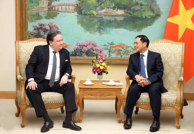 Le 23 octobre, au siège du gouvernement à Hanoï, le vice-Premier ministre Bui Thanh Son (droite) a rencontré Marc E. Knapper, ambassadeur des États-Unis au Vietnam. Photo: VNA