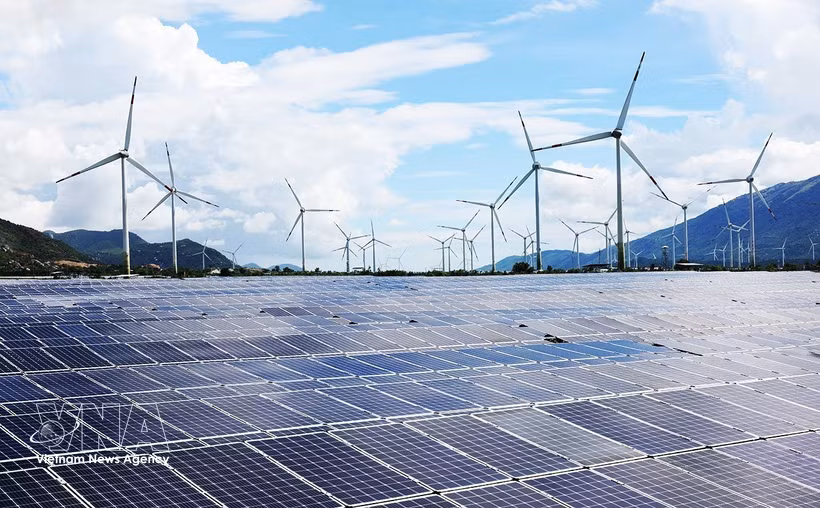Cà Mau mise sur les énergies renouvelables, notamment l’éolien en mer et près des côtes, afin de contribuer à l’approvisionnement du réseau électrique national. Photo: VNA