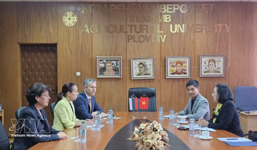 L’ambassadrice du Vietnam en Bulgarie, Nguyen Thi Minh Nguyet, a rencontré les dirigeants de l’Université agronomique de Plovdiv afin de renforcer la coopération bilatérale dans la formation, la recherche scientifique et le transfert de technologies agricoles. Photo: VNA