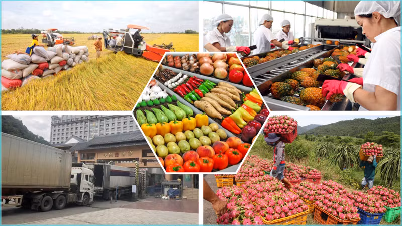 L’expansion vers les marchés émergents permettrait de réduire la dépendance du Vietnam vis-à-vis de ses partenaires traditionnels comme la Chine et les États-Unis. Photo: Internet