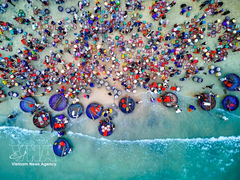 Le marché aux poissons de Tam Tien est animé. Photo: VNA