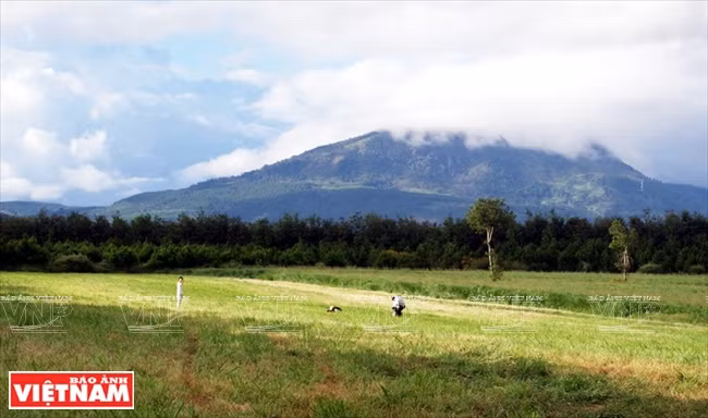 La ferme offre aux touristes une expérience inoubliable.