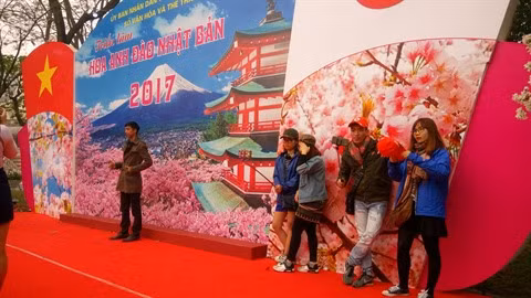 La fête des cerisiers en fleurs permet de renforcer les échanges entre Vietnamiens et Japonais.