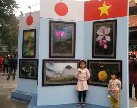 De nombreuses photos sur les fleurs distinguées du Vietnam et du Japon sont présentées.
