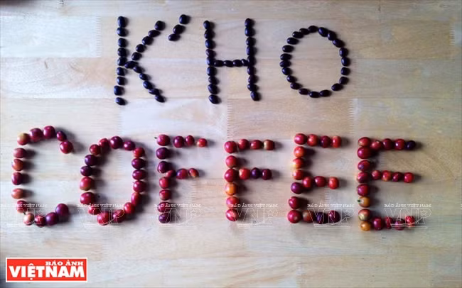 Le « K'Ho Café », une marque de café bio du Haut Plateau du Mont Lang Biang. 