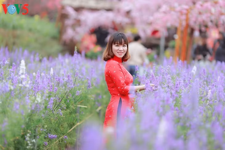 Pendant le Têt, les Vietnamiennes aiment se rendre dans les jardins de Nhât Tân à Hanoï et se faire photographier en ao dài.