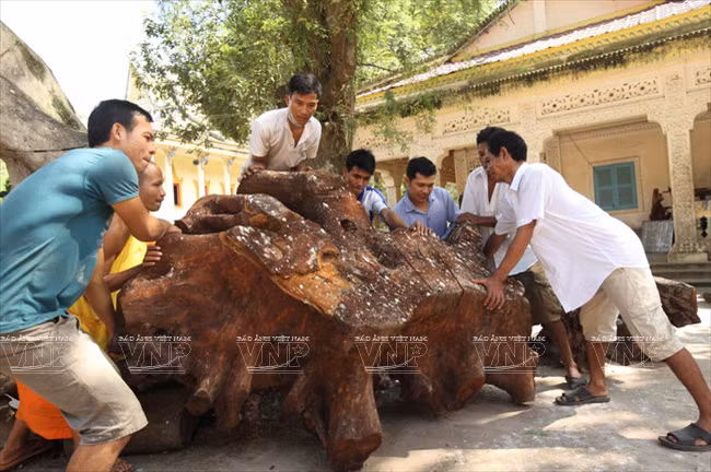 Les artisans de la pagode transforment des souches d'arbres en œuvres d'art authentiques. 