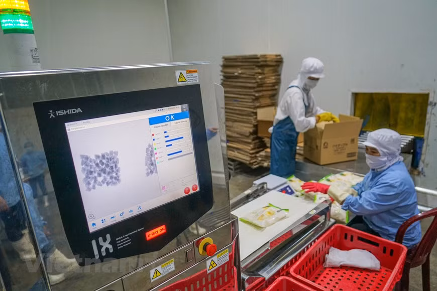 Les paquets d'ananas sont soigneusement contrôlés par un système d'inspection par rayons X avant de quitter l'usine. L'inspection par rayons X est une procédure d’inspection en pleine croissance, utilisée au sein des lignes de production alimentaires, elle assure une sécurité alimentaire accrue. Elle vise assure la sécurité des produits jusqu’à la consommattion finale ainsi que la sécurité opérationnelle pendant l’utilisation. Elle consiste des systèmes solides, robustes et fiables conçus spécifiquement pour tous les environnements de production alimentaire. Elle est capable de répondre à une variété de besoins d'inspection avec de nombreux algorithmes d’inspection ainsi qu'une technologie adaptative unique. Photo: Vietnam+