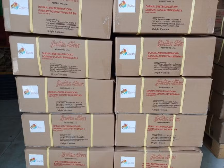Un lot de durian de la société Dai Thuan Thien destiné à l’exportation. Récemment, sept tonnes de durian surgelé du Vietnam viennent d’être débarquées dans l'État australien de la Nouvelle-Galles du Sud, en Australie, entamant le processus de conquête des consommateurs de l'un des marchés les plus exigeants au monde. L'Office du commerce du Vietnam en Australie a déployé des activités de marketing et de publicité de ce fruit vietnamien pour booster ses ventes. La superficie de culture de durian au Vietnam a rapidement augmenté au cours de la dernière décennie. En 2008, le pays comptait au total 17.500 hectares. Ce chiffre est passé à 47.300 ha en 2018, avec une production annuelle de plus de 478.600 tonnes. Photo: VietnamPlus