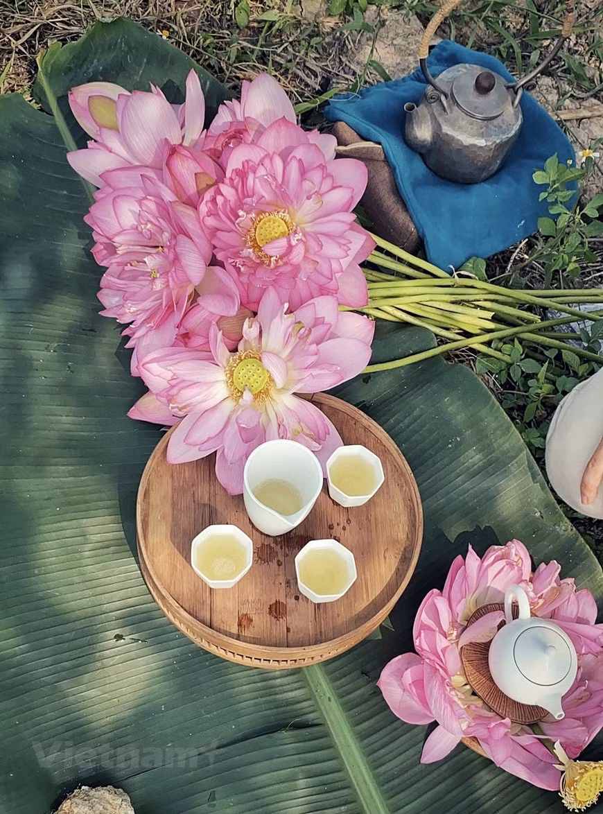 Le thé au lotus précoce a un parfum frais et doux.