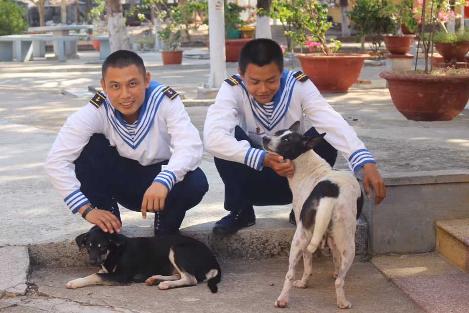 Des soldats sur l'île de Son Ca, archipel de Truong Sa (Spratleys), jouent avec des chiens. Photo: VNA 