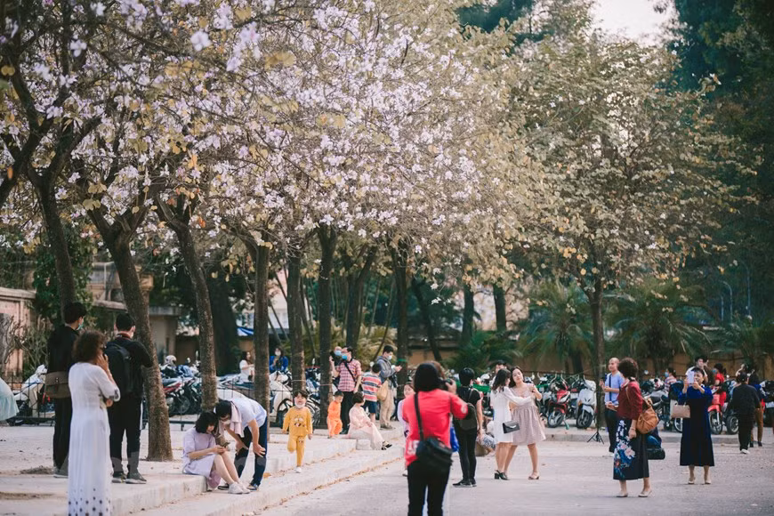 La fleur de bauhinie est emblématique de la région du Nord-Ouest. Elle fait partie de la culture des ethnies minoritaires locales. Chaque ethnie minoritaire locale possède sa propre légende sur la bauhinie. Le plus souvent, cette fleur symbolise l’amour et la fidélité. Pour l’ethnie Thaï, cette fleur est associée depuis longtemps à sa vie. À chaque saison des fleurs, toute la communauté est excitée et joyeuse. La fleur les aide à se détendre et à décorer leurs villages. Les gens effacent tout mécontentement et deviennent plus unis. La chemise blanche des femmes Thai représente deux pétales de bauhinies embrassant les charmantes figures des femmes. Photo : Vietnam+ 