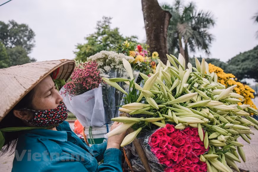 Les fleurs blanches de lys de Pâques avec le parfum léger sont devenues une caractéristique particulière de Hanoï chaque fois que le mois d'avril arrive. Cette fleur en forme de trompette qui mesure 7 ou 8 centimètres et fleurit en avril de chaque année. Pas aussi brillant et parfumé que beaucoup d'autres fleurs, mais le blanc simple mais pur des lys fascine tout le monde. Cette fleur symbolise la légèreté et la pureté, et est aimée par de nombreuses personnes et choisie pour décorer la maison. À Tay Tuu, surnommée le "royaume des fleurs", le lys de Pâques est planté depuis de nombreuses années. Ces derniers temps, de nombreuses personnes ont également loué des terres dans les environs de Tay Tuu pour cultiver ce genre de fleurs. Photo : VietnamPlus 
