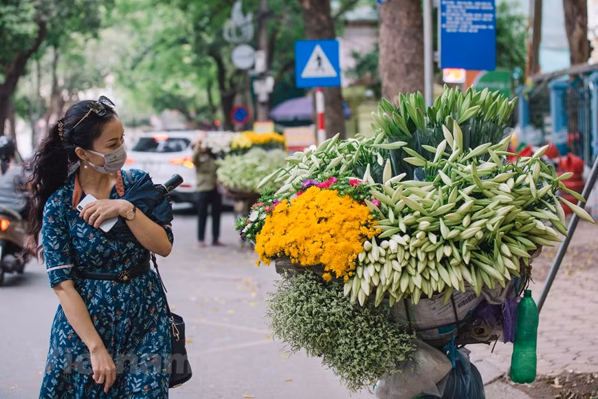 Le lys de Pâques (Lilium longiflorum) est à l'origine une plante endémique des îles Ryukyu dans le Sud du Japon et de Taïwan (Chine). Sa floraison se tient une fois par an, généralement vers la fin du printemps et au début de l'été. Sa saison va et vient si vite que parfois les gens ne s'en rendent même pas en compte. En avril, Hanoï est couverte de la beauté blanche et élégante des lys de Pâques qui inspirent les gens avec leur parfum pur et leur couleur blanche. Les fleurs de lys sont simples mais aussi nobles à chaque coin de la capitale de Hanoï. Ce genre de fleur n'est pas trop brillant car il n'a que la couleur blanche et le parfum doux. Mais, c'est suffit pour qu'il gagne l'amour de beaucoup. Photo : VietnamPlus 