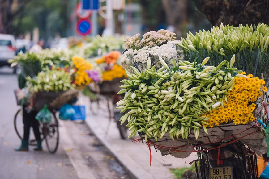 À Hanoï, le lys de Pâques est vendu en grande quantité dans de nombreuses rues telles que Thuy Khue, Phan Dinh Phung et Kim Ma. Le vélo d’une vendeuse ambulante sur cette photo semble être éclipsé par les lys de Pâques et un large éventail d'autres fleurs colorées. Les fleurs vendues par les vendeuses ambulantes peuvent également être considérées comme des signes de chaque saison à Hanoï. Le lys de Pâques n'est pas seulement une sorte de fleur brillante et parfumée comme d'autres, mais sa couleur simplement blanche crée également une beauté pure, qui a inspiré tellement beaucoup de gens. Les gens sont même prêts à attendre la saison des lys de Pâques pour profiter de sa beauté rustique. Photo : VietnamPlus 