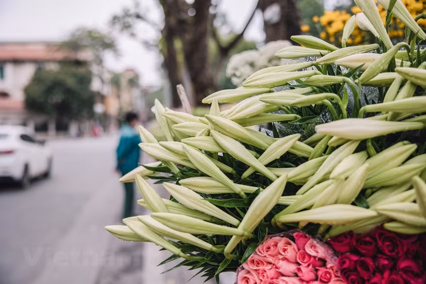 Grâce aux vendeurs ambulants, le lys de Pâques est présent dans presque toutes les rues, ce qui rend Hanoï si spéciale en avril. Elle se distingue parmi les fleurs vendues dans les rues par sa simplicité et sa beauté fragile, douce et pure. La fleur peut être utilisée pour la décoration à la maison ou comme offrande dans les pagodes. Pour avoir des lys de Pâques à vendre en avril, les agriculteurs doivent planter les bulbes en septembre et octobre de l'année précédente. De vieux vélos chargés d'une variété de fleurs épanouies sont comme un morceau de la mosaïque colorée dans les rues de Hanoï. Les marchandes ambulantes sont présentes partout dans la ville et font partie une attractivité locale. Photo : VietnamPlus 