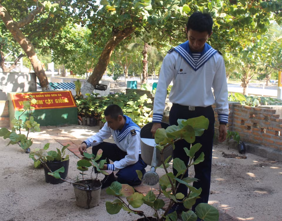 Des soldats s'occupent de plantes. Photo: VNA 