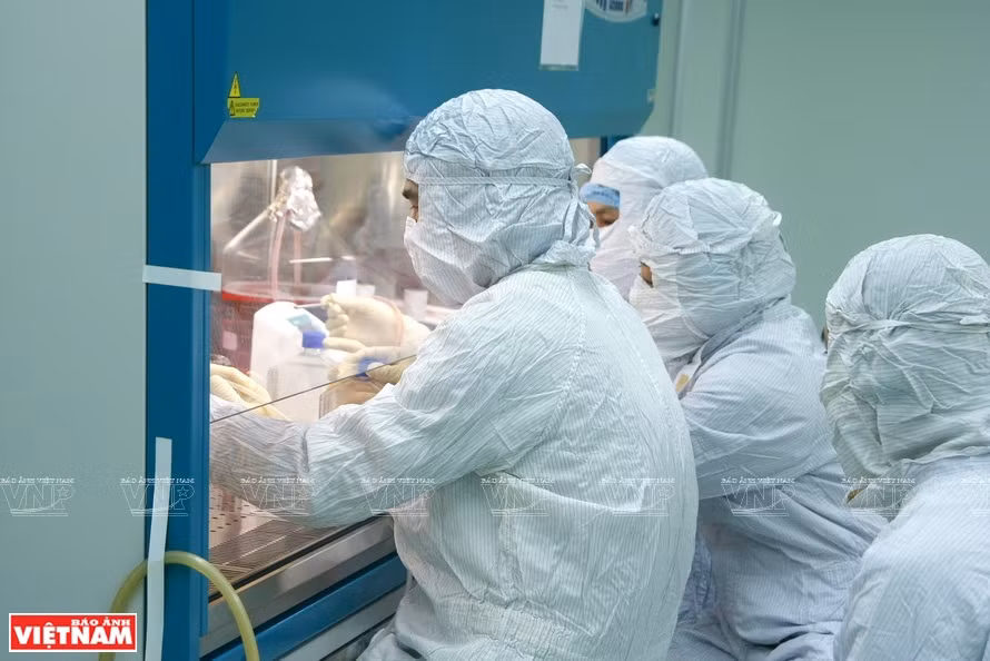 De jeunes techniciens dans les labos de VABIOTECH de recherche sur les vaccins. 