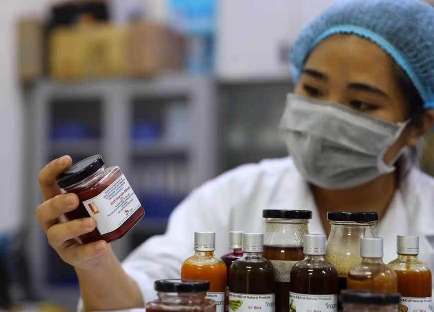 La technologie JEVA développée par l'Université des sciences et des technologies de Hanoï aide les entreprises dans la transformation du jus de fruits concentré de haute qualité pour l'exportation vers les marchés européens exigeants. Photo: VietnamPlus 