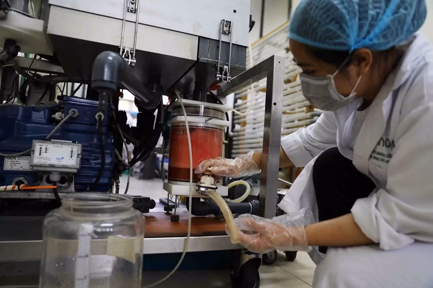 Des équipements modernes utilisés dans la transformation. Photo: VietnamPlus 