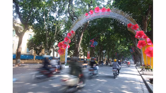La rue Phan Dinh Phùng est décorée ​de lampes et ​de fleurs. Elle devient scintillante et éclatante en soirée. 