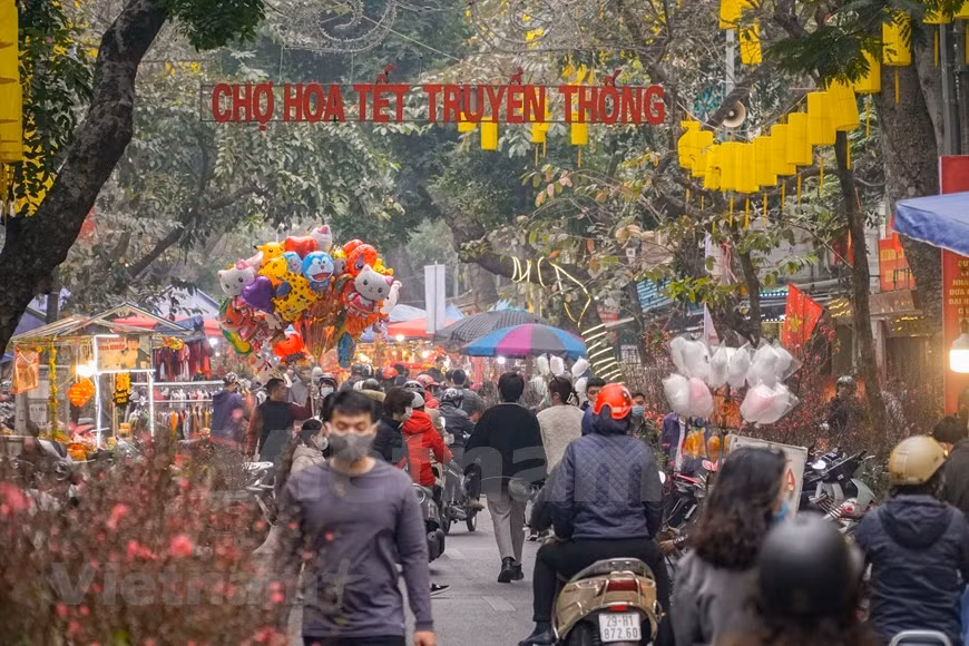 Même si Hanoï abrite divers marchés aux fleurs célèbres, pour ceux qui ont de bons souvenirs du Têt traditionnel de la ville, le marché aux fleurs de la rue Hang Luoc reste une destination incontournable à l'approche du Têt ou Nouvel An lunaire, la fête la plus importante de l'année pour les Vietnamiens et un moment propice aux réunions de famille. Une fois par an, avant le Têt traditionnel, le Vieux quartier de Hanoï devient beaucoup plus trépidant avec l'ouverture du marché aux fleurs de Hang Luoc. Glaïeul, dahlia, violette, fleurs de pêchers et arbres kumquat, entre autres. Toutes sortes de fleurs traditionnelles se trouvent sur le marché aux fleurs Hang Luoc, à Hanoï. Photo: VietnamPlus